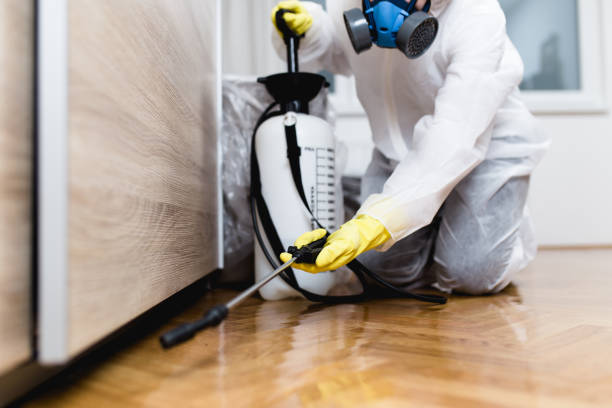  Newkirk, OK Pest Control Pros