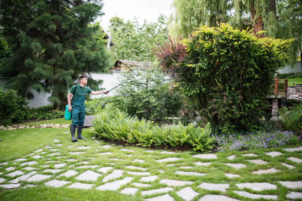 Best Pest Removal Services  in Newkirk, OK