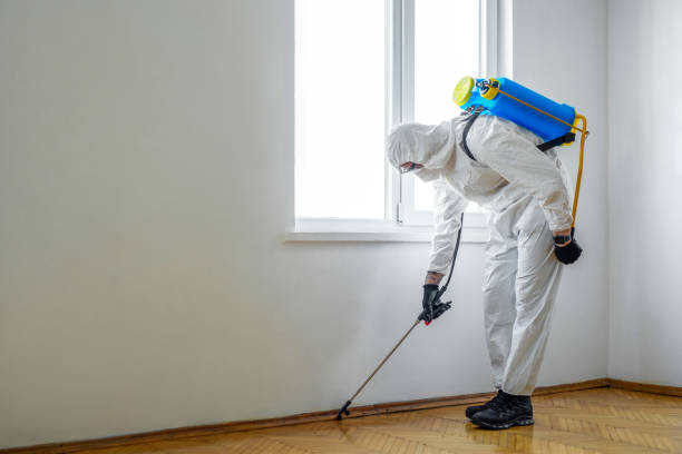 Best Affordable Pest Control Services  in Newkirk, OK