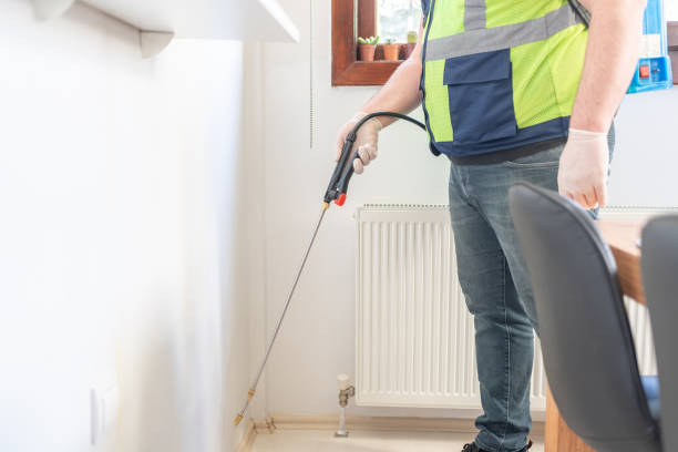 Best Ant Control Services  in Newkirk, OK