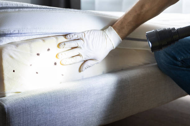 Best Residential Pest Control  in Newkirk, OK