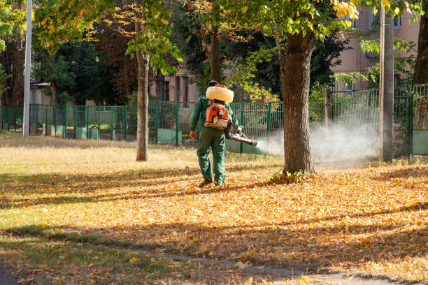 Best Pest Prevention Services  in Newkirk, OK