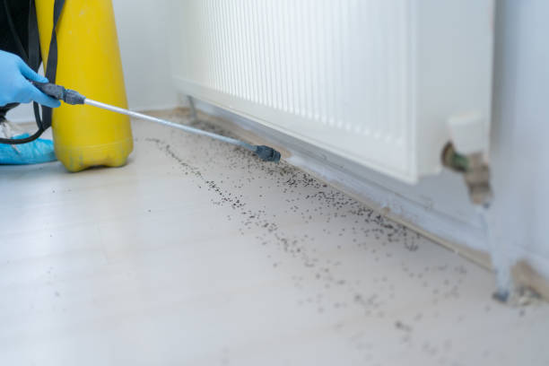 Best Bed Bug Extermination  in Newkirk, OK