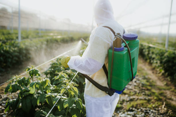 Best Cockroach Control Services  in Newkirk, OK